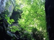 ���⓴�̎ʐ^3