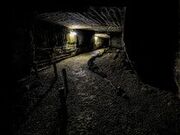 ���⓴�̎ʐ^2