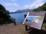 ���⓴�̎ʐ^4