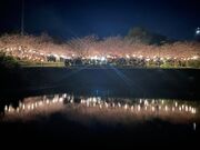 �����R�����̎ʐ^2