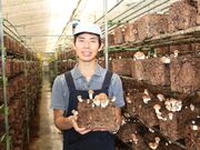 ���q���̂����̎ʐ^2