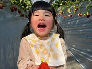 �R�����[�J���t�@�[���y���������z�̎ʐ^4