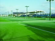 �V���s�닅��̎ʐ^2