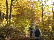 �J�����r�i�܂����������j�̎ʐ^2