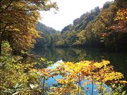 �J�����r�i�܂����������j�̎ʐ^3