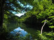 �J�����r�i�܂����������j�̎ʐ^4