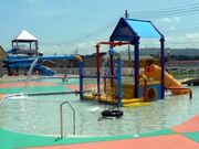 ����J�s�����̈�ف^�s���v�[���̎ʐ^2