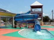 ����J�s�����̈�ف^�s���v�[���̎ʐ^3