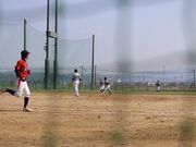 �����s���싅��̎ʐ^3