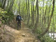 ���P�x�E�k�ܕS��o�R���̎ʐ^2