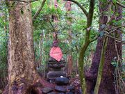 ���R���߂���i�ٓ��s�ό��{�����e�B�A�K�C�h�j�̎ʐ^2