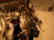 �͘F���t���Ö��Ƃő؍݁@�~�̕�炵���i�c�A�[�̎ʐ^4