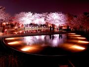 ���R�����E�󒆒뉀�̍��̎ʐ^3