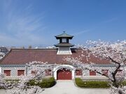 ���V���Ŋ֒��ɂ̍��̎ʐ^2