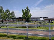 �V���s�A�O���p�[�N�̎ʐ^3