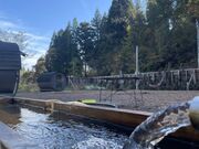 OJIYA SAUNA DEN�̎ʐ^3