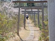 ���_�Ёi�Ζ�t�l�j�̎ʐ^3