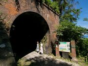 100�N�O�̃g���l����������I�e�s�m�����K�g���l���̎ʐ^3