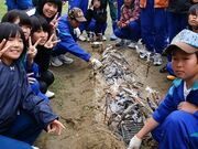 �C���i���ݎ��E���Ă��̌��̎ʐ^3