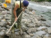 �����@��̌��̎ʐ^3