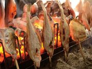 ������ƃO�����I�o�_����V�c�A�[�̎ʐ^3