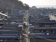 ������ƃO�����I�o�_����V�c�A�[�̎ʐ^4