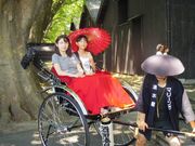 �l�͎ԁ@��c�����̎ʐ^3