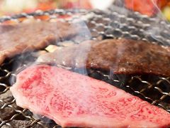 市川市の焼肉ランキングtop10 じゃらんnet