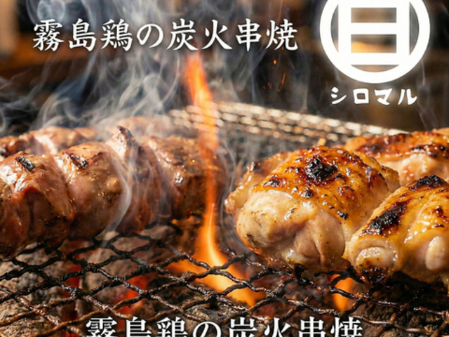 �V���}�� �{�����X�̎ʐ^1