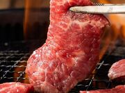 �J���r�叫 �t�@�{�[���x�R�X�̎ʐ^1