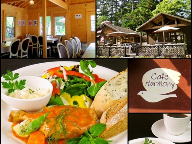 JtF n[j[ Cafe Harmony̎ʐ^1