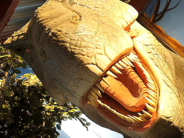 ÃXg DINOSAUR _Ci\[̎ʐ^1