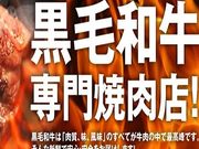 ̉Ɠ ē V イ̂̎ʐ^1