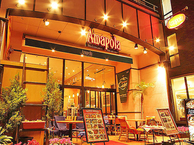 �V���g�[�h �G�r�X�̎ʐ^1