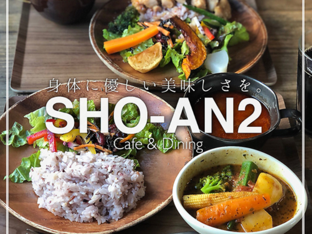 SHO-AN2�̎ʐ^1