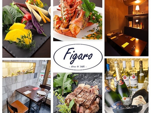 C^A XpjbV Figaro tBK {؂̎ʐ^1