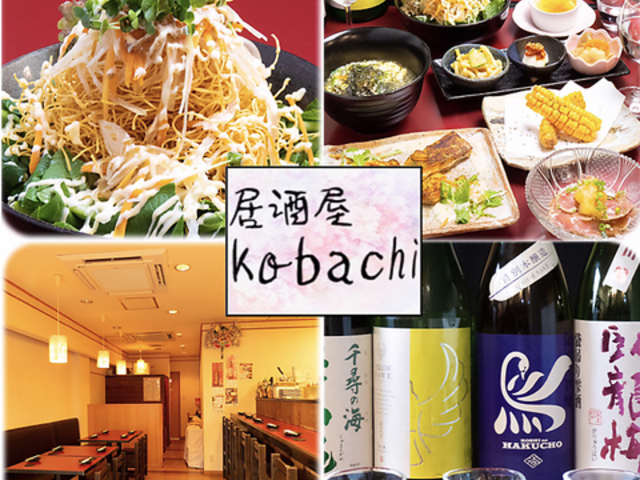 ������ kobachi �R�o�`�̎ʐ^1