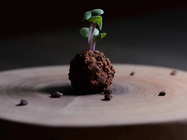 Ristorante Narvaro Xge i[@̎ʐ^1