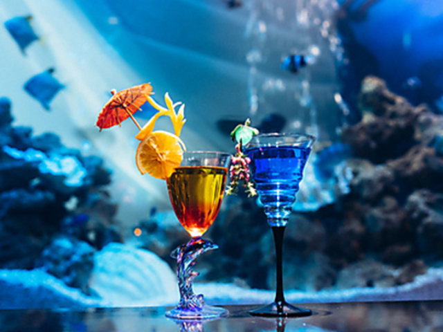 BAR WISTERIA o[ EBXeA̎ʐ^1