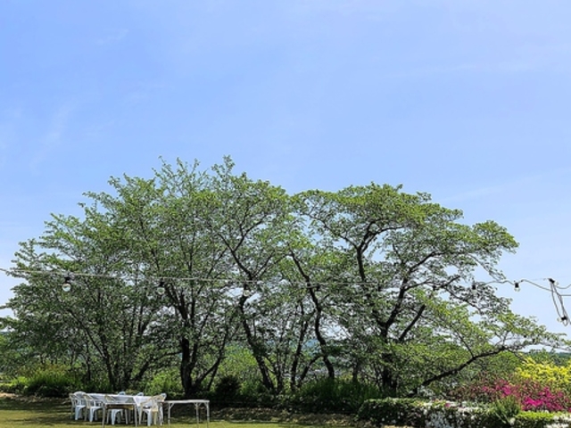 NIKKOEN BBQ&PARTY GARDEN IN HYOGO̎ʐ^1