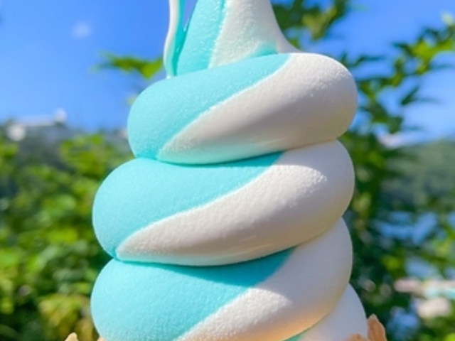 TERRACE CAFE IPPEKIKO eXJtF Ɍ΂̎ʐ^1