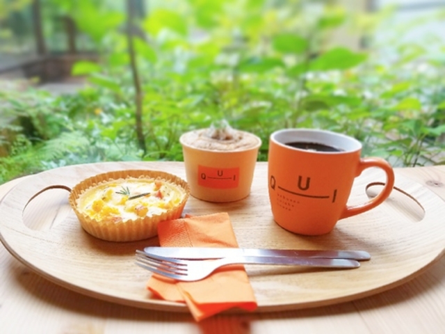 RLbVnEX QUI ND[C̎ʐ^1