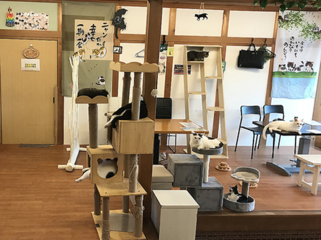 �L���ӂ� �˂��ς񂿂̎ʐ^1