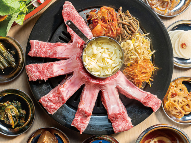 ANNYON �A���j�����̎ʐ^1