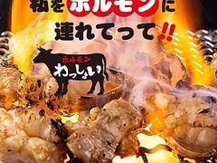 �z������������傢�̎ʐ^1