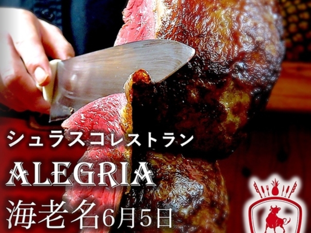 VXR&rAXg ALEGRIA ebinaiAOACVj̎ʐ^1