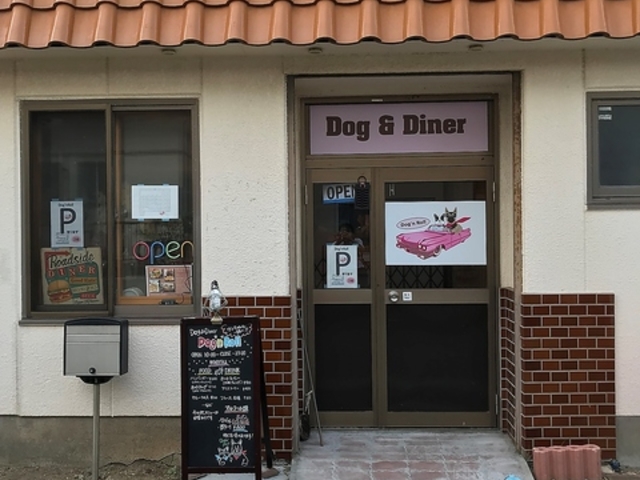 Dog n Roll hbN[̎ʐ^1