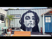 DAY TRIP fCgbv̎ʐ^1