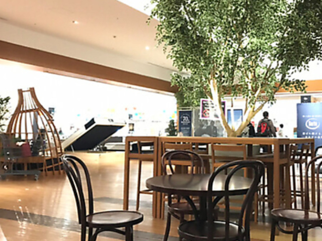 MOA cafe �����C���e���A�Ƌ� ���{�X�̎ʐ^1