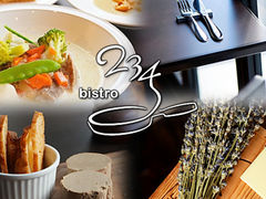 bistro 234 rXg jT̎ʐ^1